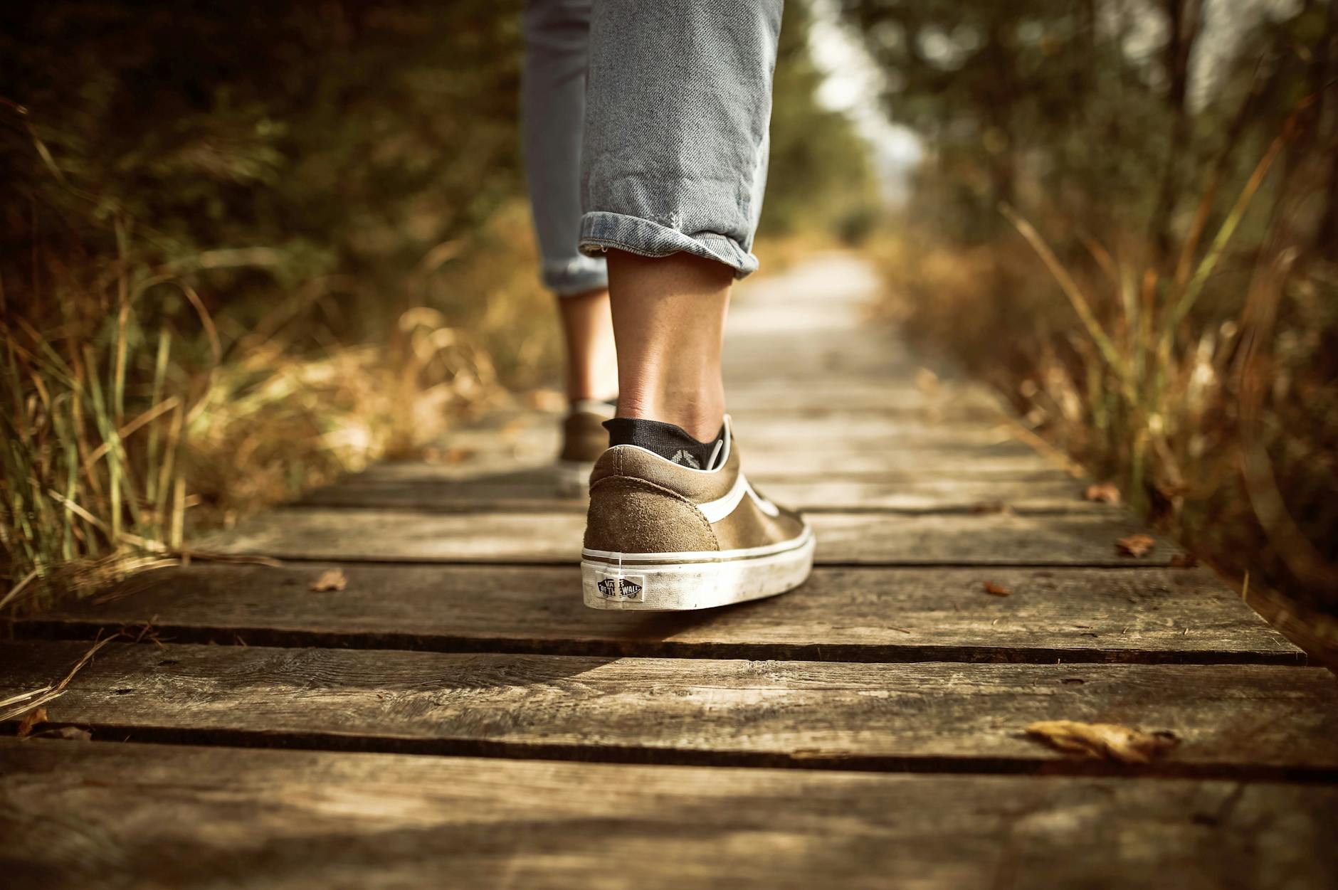 Nuestras emociones son camino
